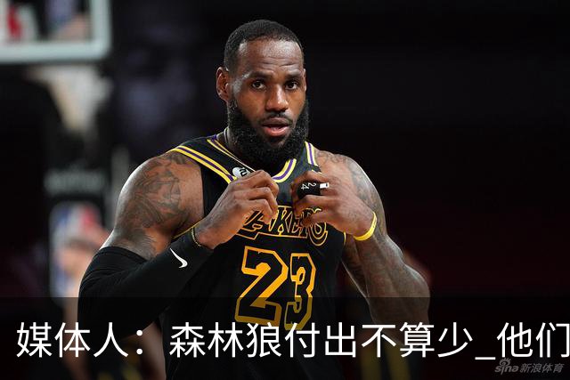 媒体人：森林狼付出不算少 他们确实需要变化 之前的阵容到上限了